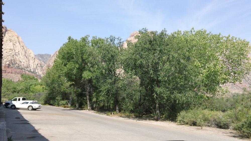 Blue Diamond Bonnie Springs Ranch Motel מראה חיצוני תמונה